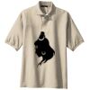 Tall Silk Touch Polo Thumbnail
